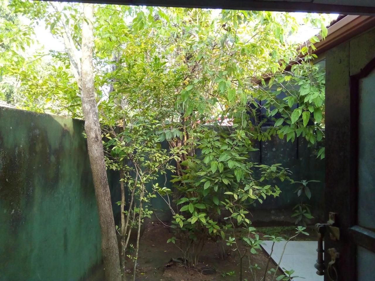Ceylon Hostel-Galle Unawatuna Ngoại thất bức ảnh