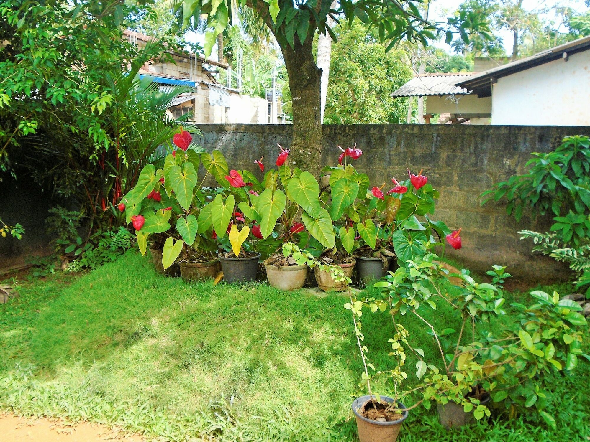 Ceylon Hostel-Galle Unawatuna Ngoại thất bức ảnh